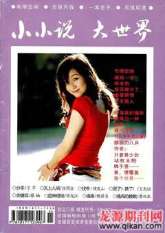 小小说大世界2009年8期