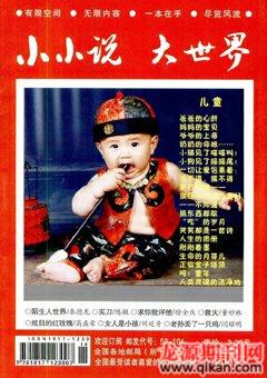 小小说大世界2009年10期