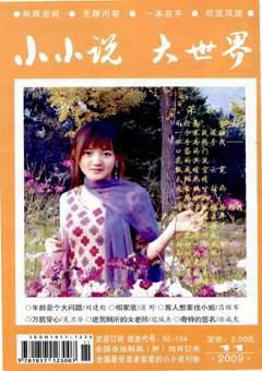 小小说大世界2009年11期