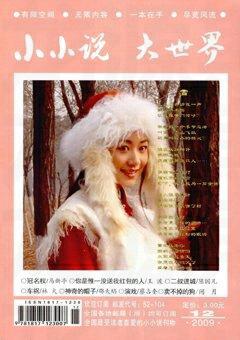 小小说大世界2009年12期