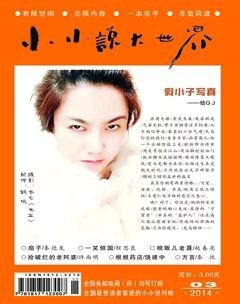 小小说大世界2014年3期