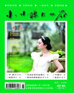 小小说大世界2014年6期