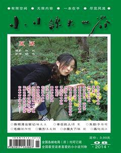 小小说大世界2014年8期