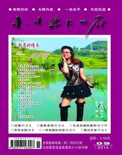 小小说大世界2014年9期