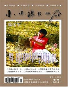 小小说大世界2014年11期