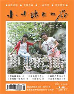 小小说大世界2014年12期