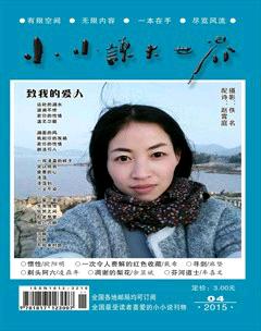 小小说大世界2015年4期