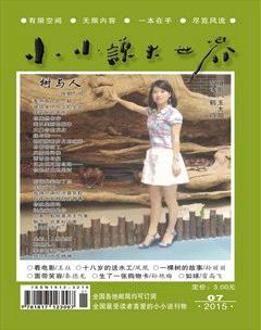 小小说大世界2015年7期