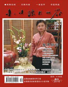 小小说大世界2016年1期