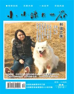 小小说大世界2016年4期