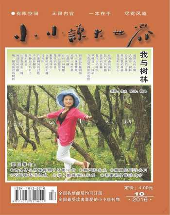 小小说大世界2016年10期