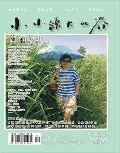 小小说大世界2016年12期