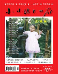 小小说大世界2017年1期