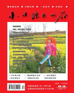 小小说大世界2017年2期