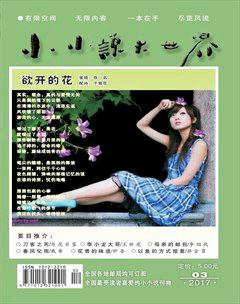 小小说大世界2017年3期