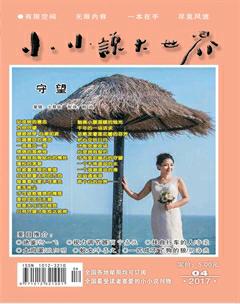 小小说大世界2017年4期