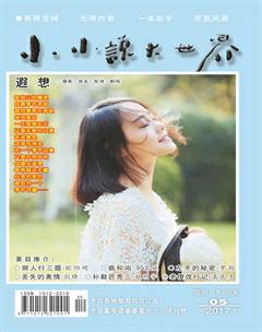 小小说大世界2017年5期