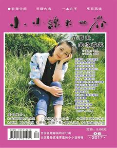 小小说大世界2017年6期