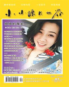 小小说大世界2017年7期