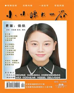 小小说大世界2017年8期