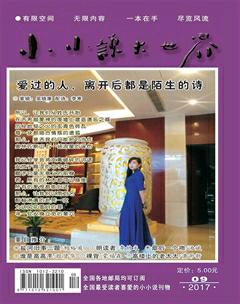 小小说大世界2017年9期