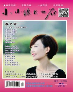 小小说大世界2018年3期
