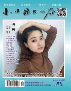 小小说大世界2018年5期