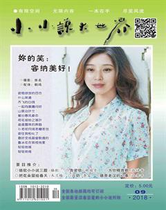 小小说大世界2018年9期