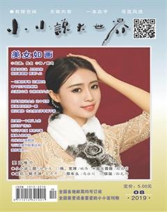 小小说大世界2019年8期