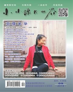 小小说大世界2019年9期