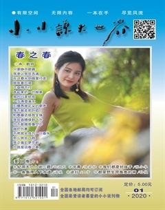小小说大世界2020年1期