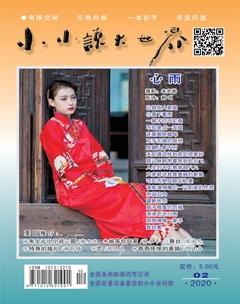 小小说大世界2020年2期