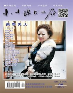 小小说大世界2020年6期