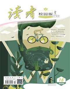 读者·校园版2020年15期