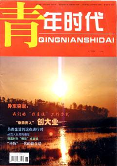 青年时代2006年8期