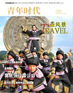 青年时代2014年9期