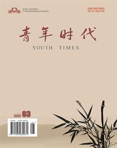 青年时代2016年5期