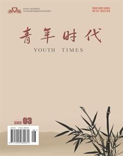 青年时代2016年6期