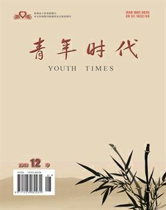 青年时代2016年31期