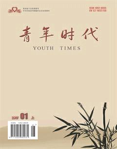 青年时代2017年1期