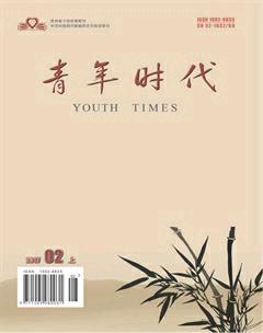 青年时代2017年4期