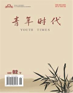 青年时代2017年6期
