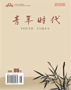 青年时代2017年15期