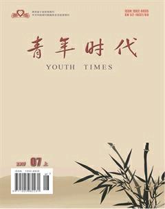 青年时代2017年19期