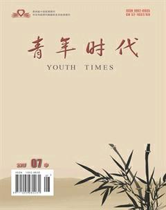 青年时代2017年20期