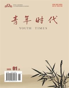 青年时代2019年1期