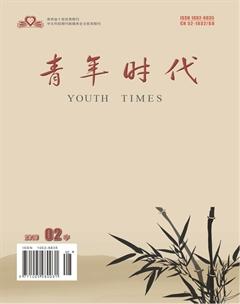 青年时代2019年5期