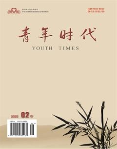 青年时代2020年5期