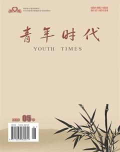 青年时代2020年14期