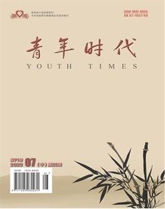 青年时代2020年20期